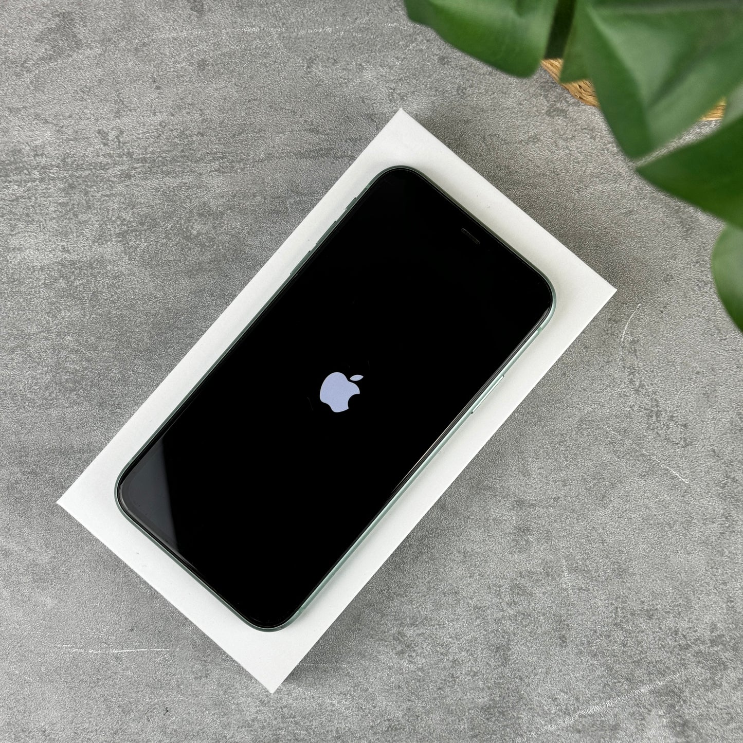 Apple iPhone 11 Green (Unlocked)