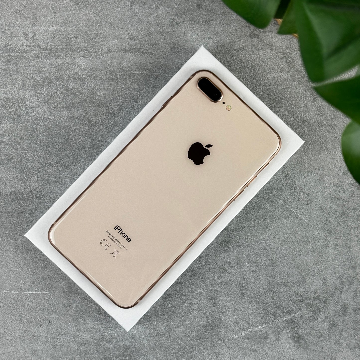 Apple iPhone 8 Plus in Rose Gold