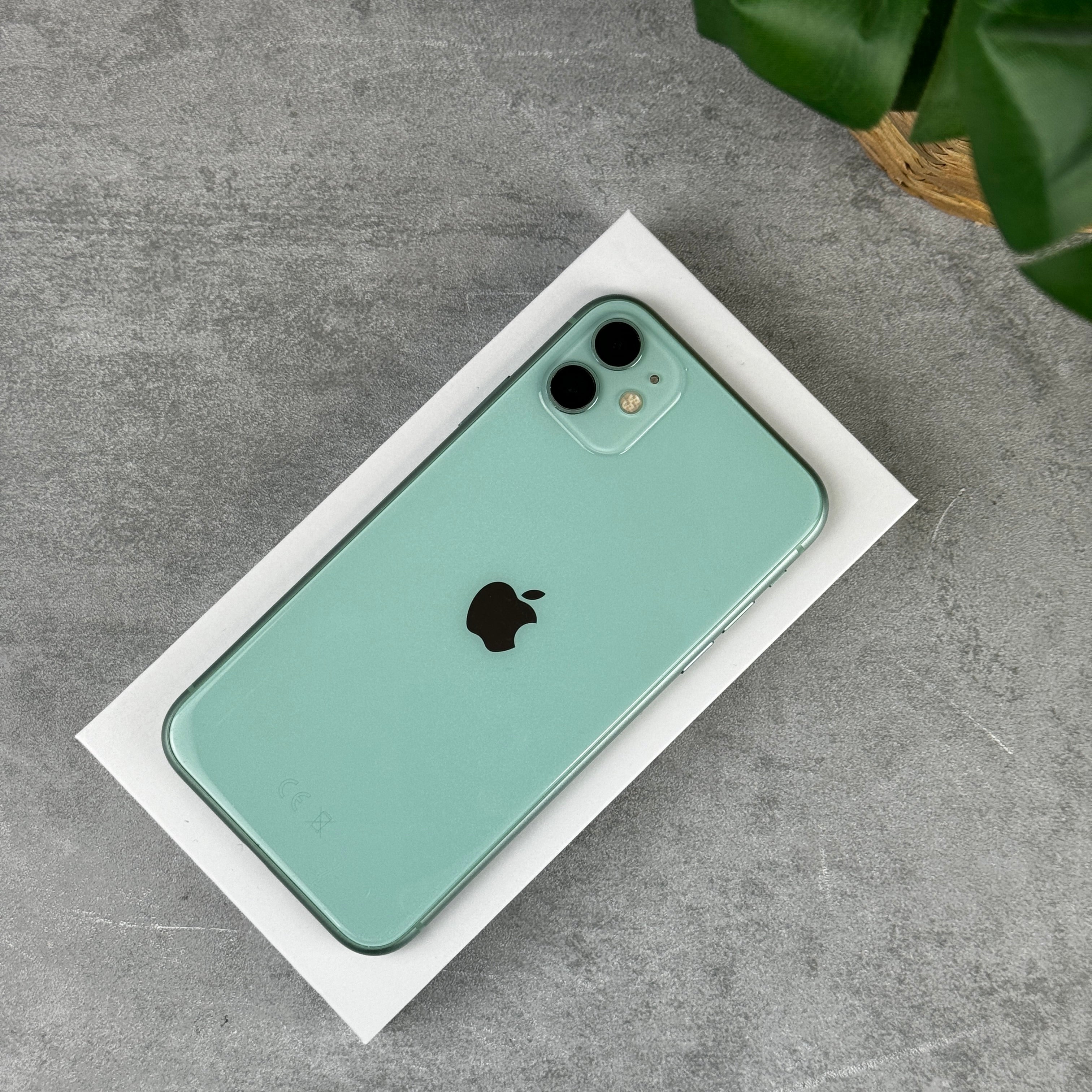 Shop Apple iPhone 11 64GB/128GB/256GB | Refurbished iPhones