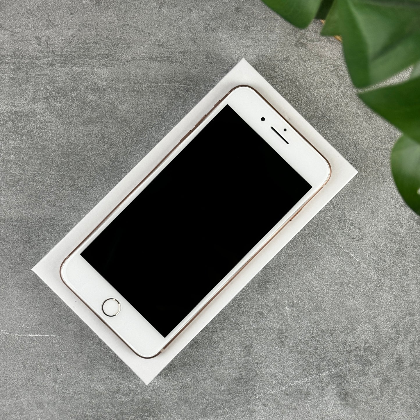 Apple iPhone 8 Plus in Rose Gold