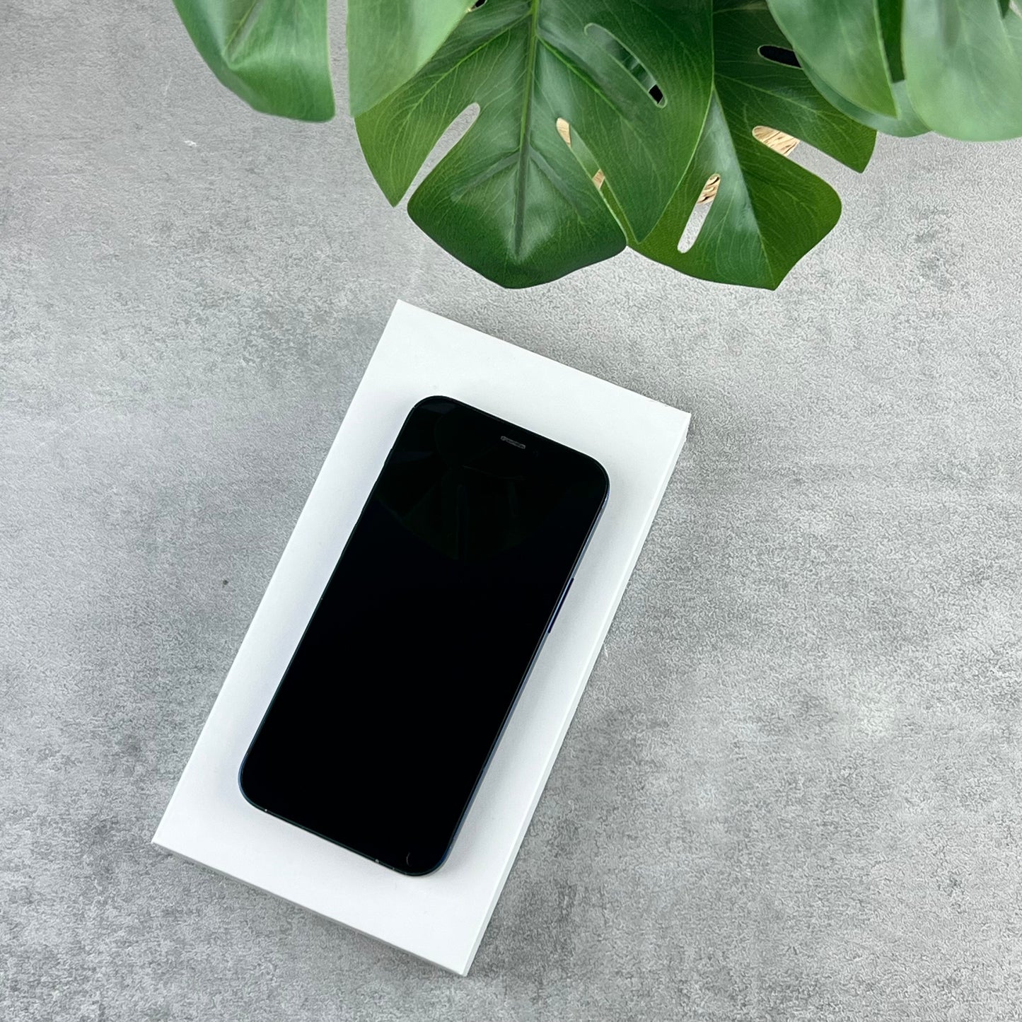 Apple iPhone 12 Mini Blue