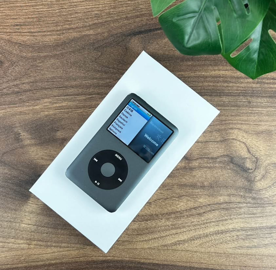 Apple iPod Classic 120GB (A1238)