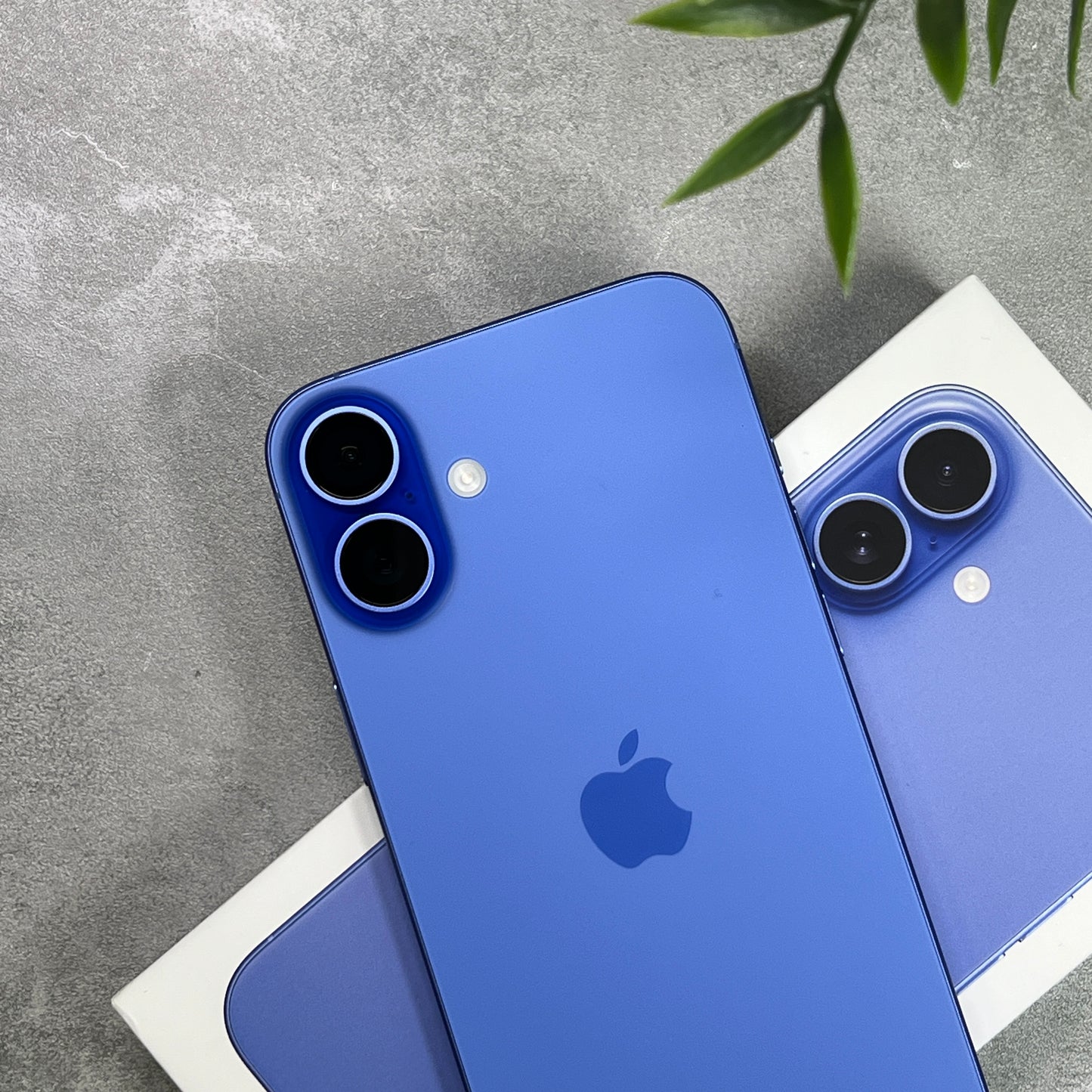 Apple iPhone 16 Plus Ultramarine (Unlocked)