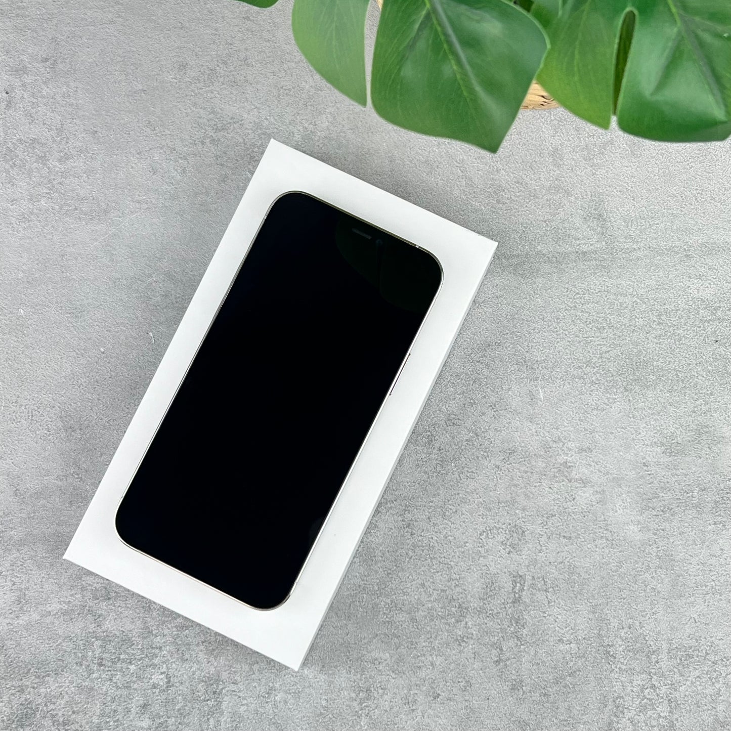 Apple iPhone 12 Pro Silver