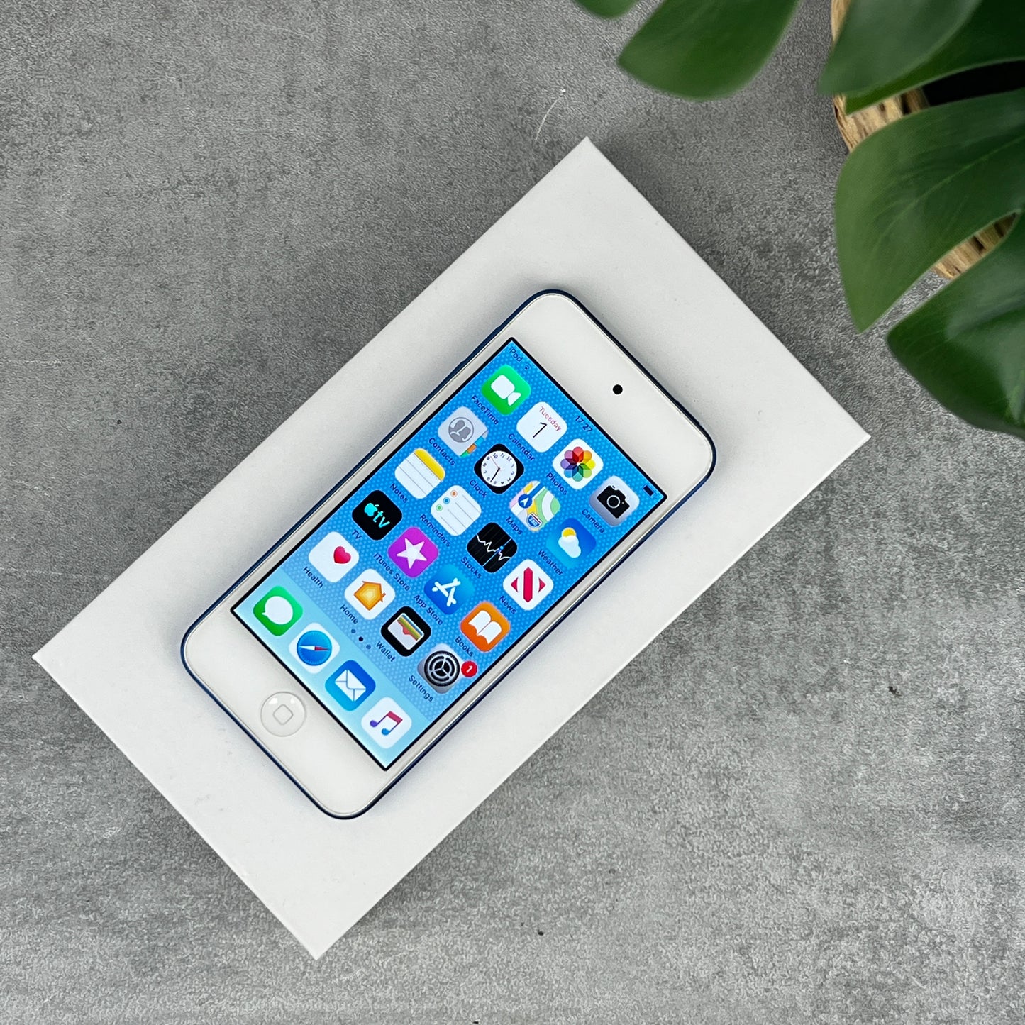 Apple iPod Touch 6th Generation