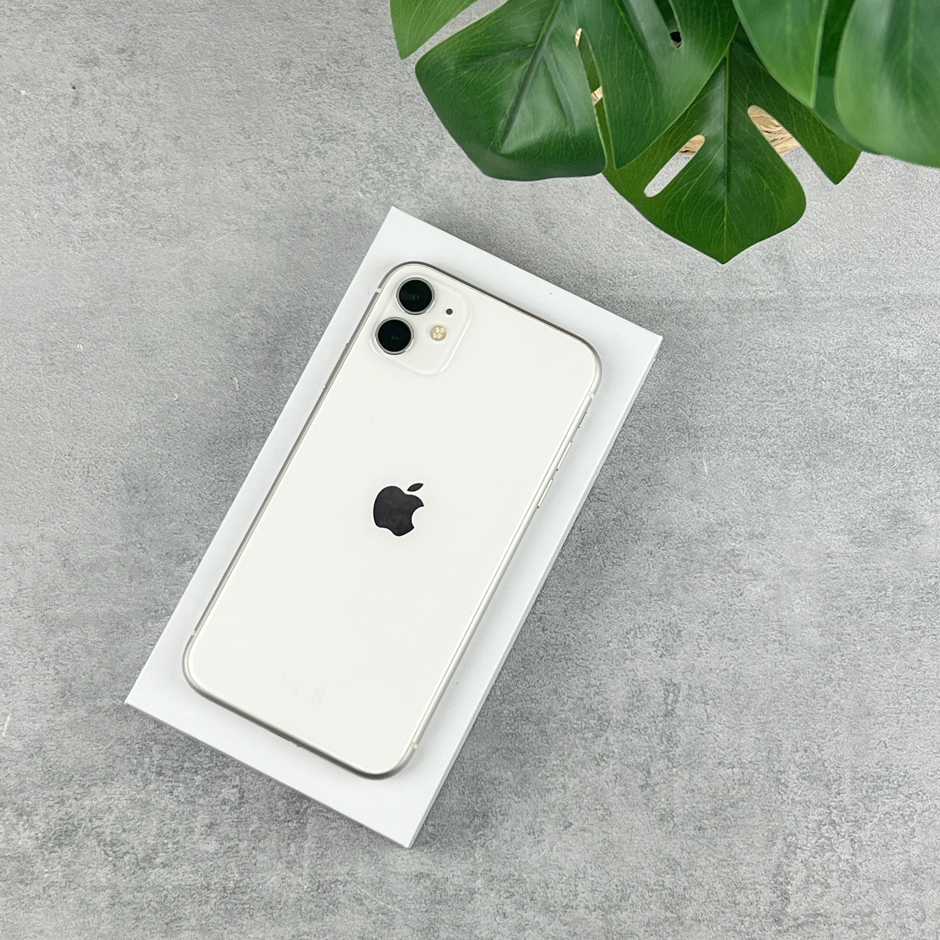 Buy iPhone 11 | Refurbished Phones Haverhill | Shop Now – Calatech