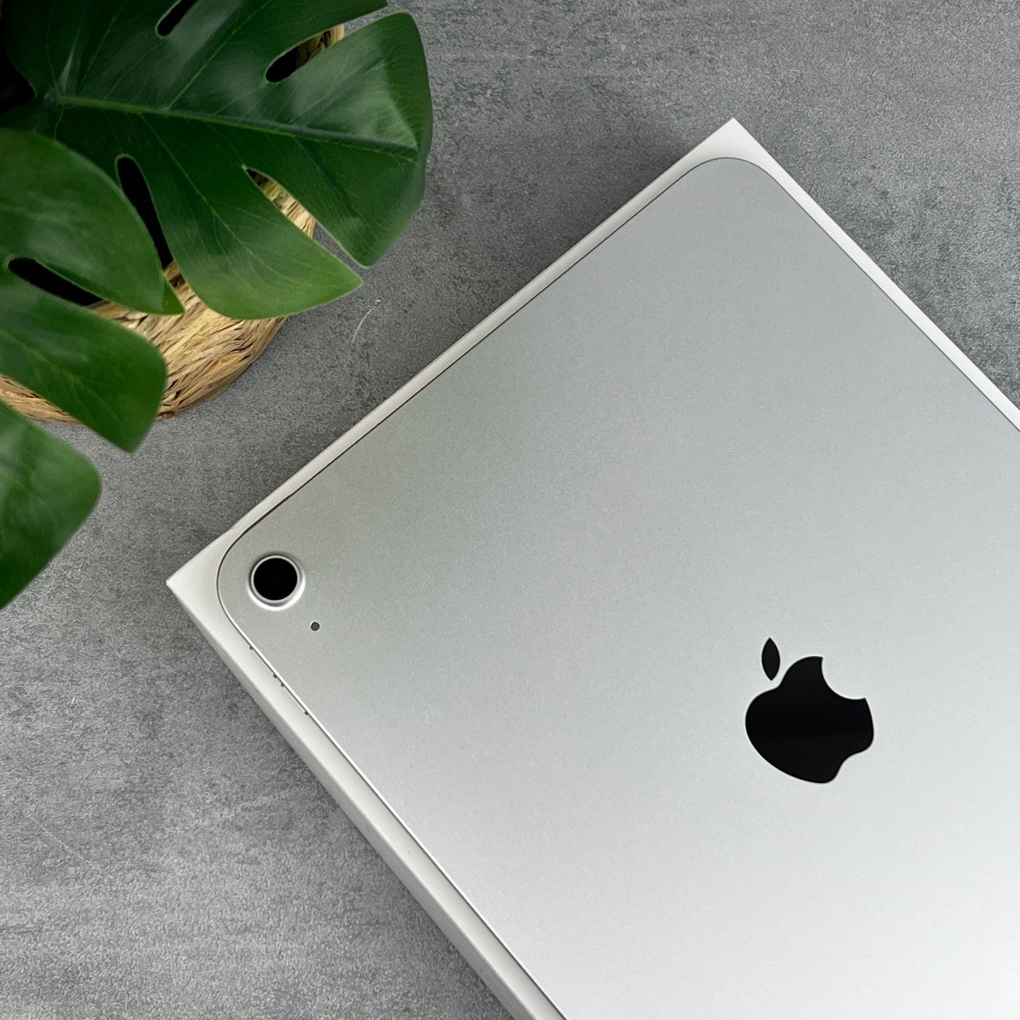 Apple iPad 10th Generation WiFi (2022) Silver