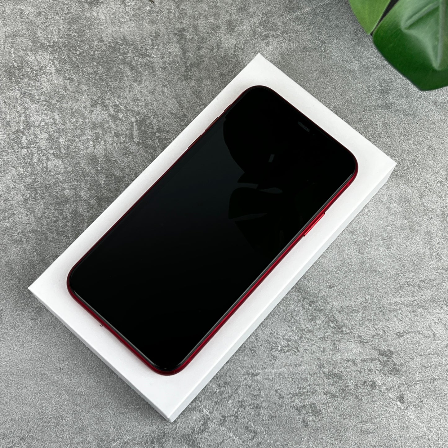Apple iPhone 11 Red