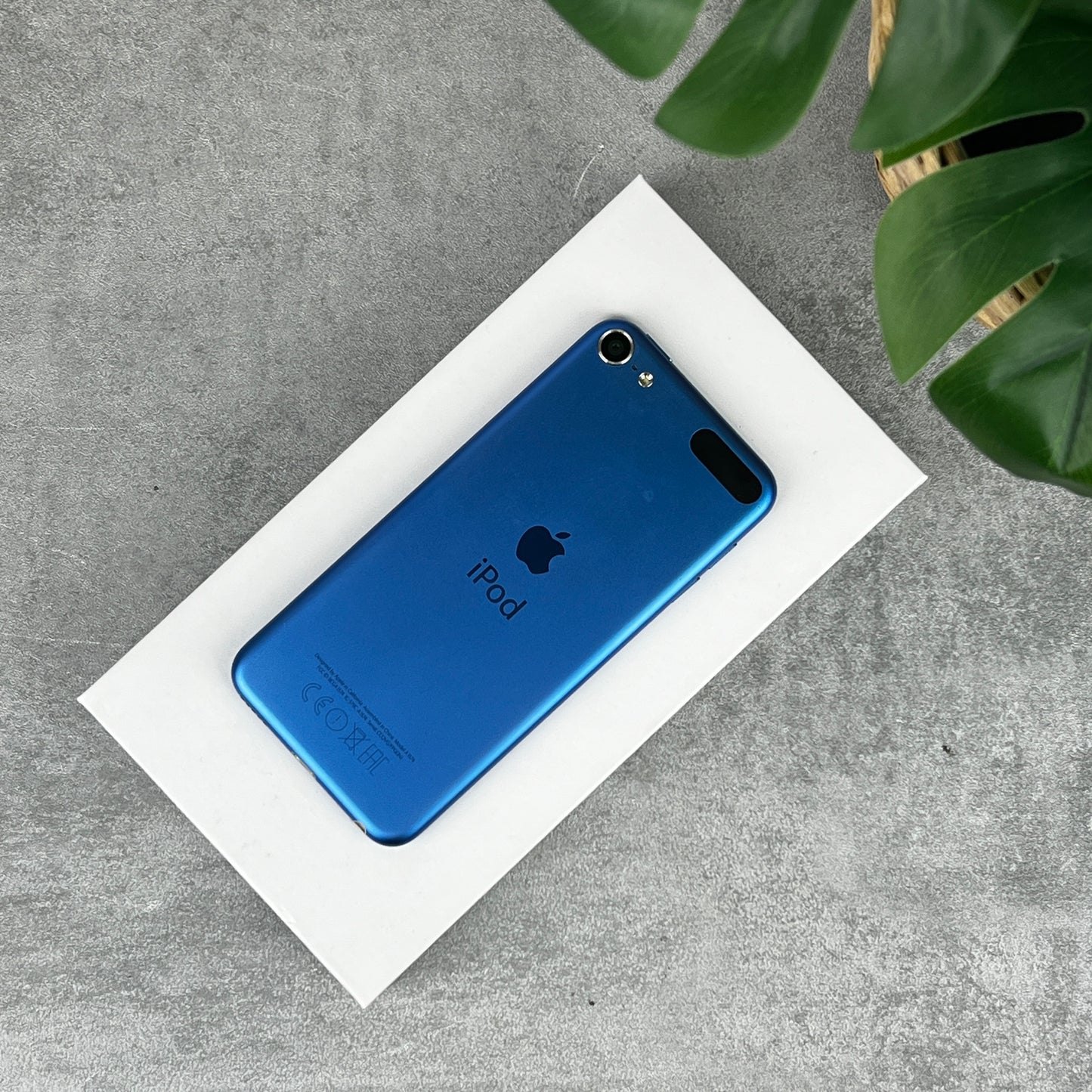 Apple iPod Touch 6th Generation