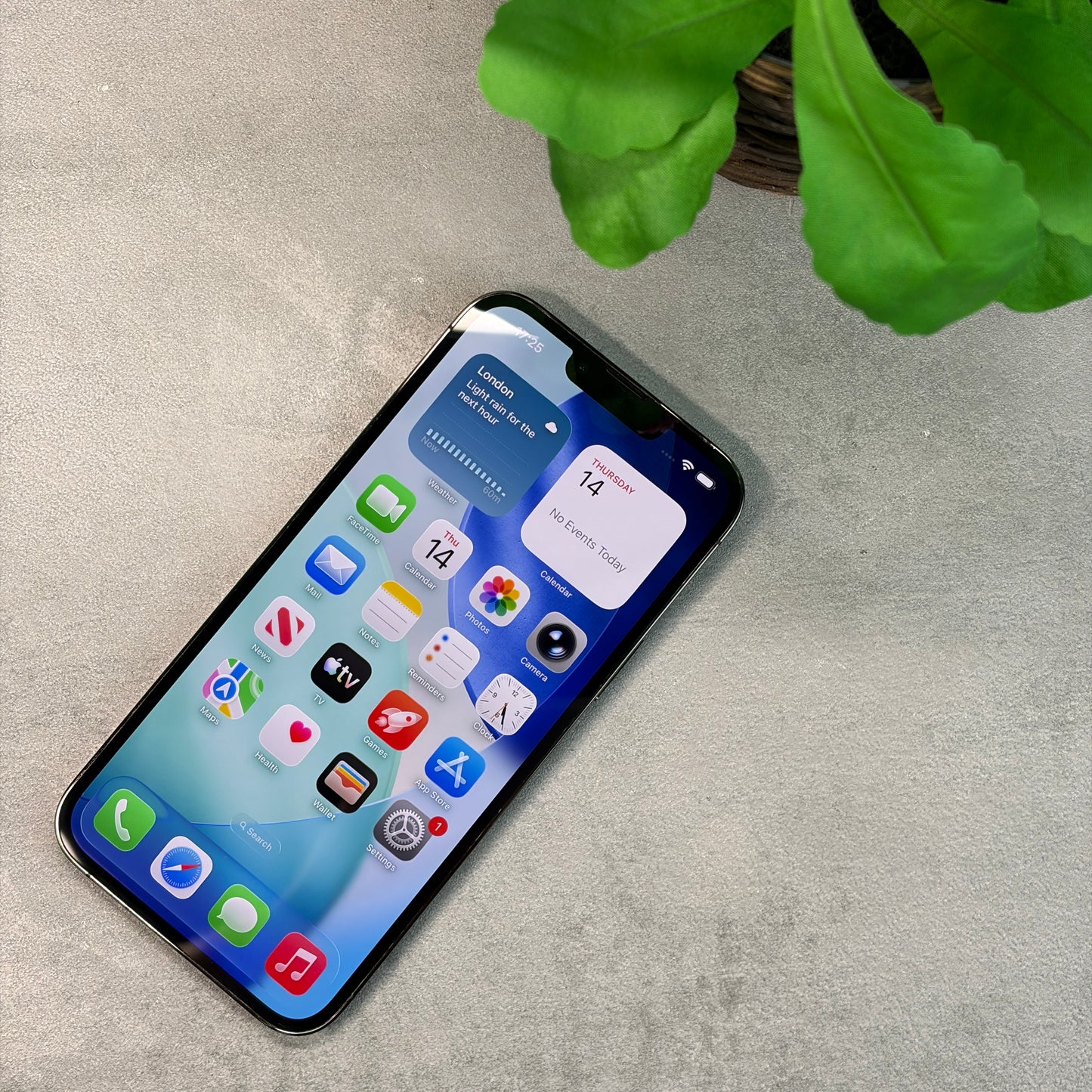 Apple iPhone 13 Pro Max Graphite (Unlocked)