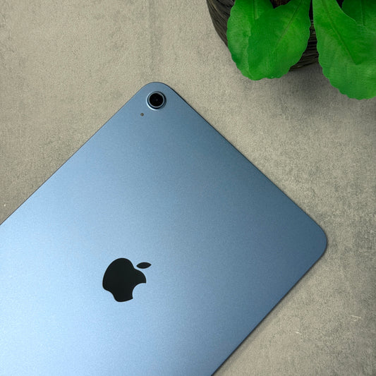 Blue Apple product on a textured surface with a plant in the background